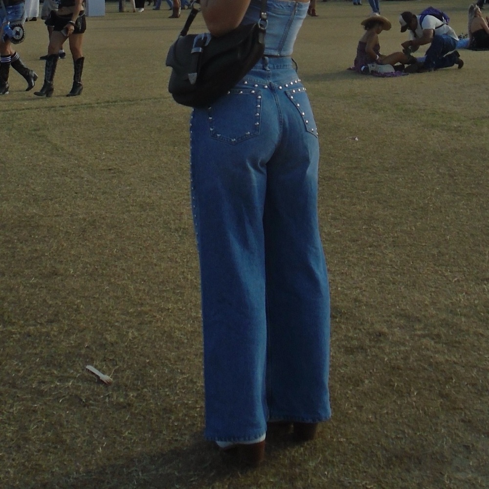 Reformation Cary High Rise Slouchy Studded Wide Leg Jeans in Colorado Color